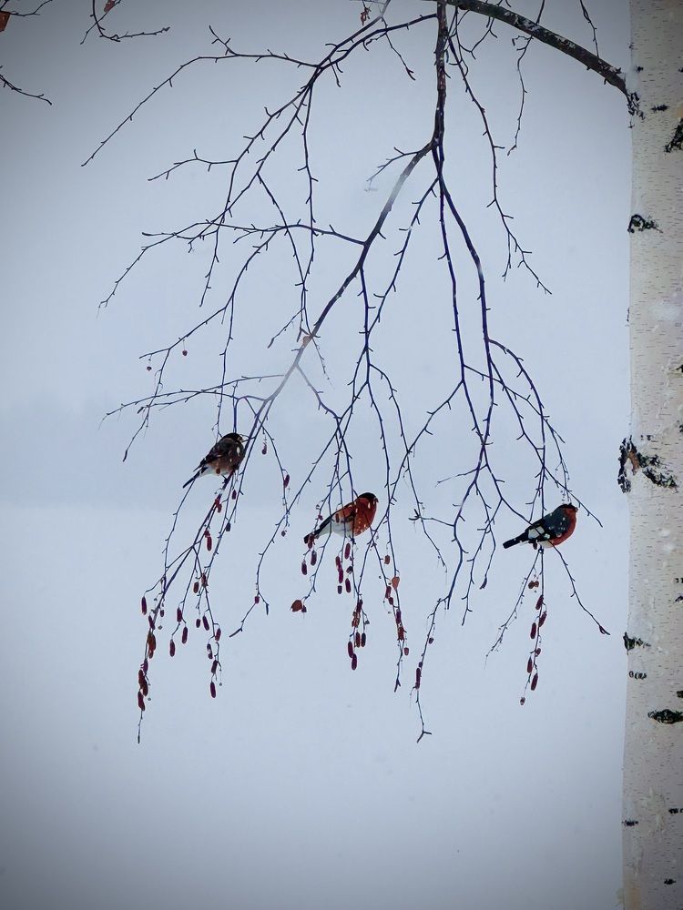 Photograph by Ксения Юртаева