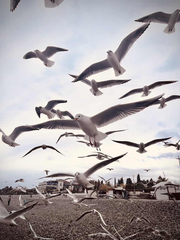 Photograph by Ксения Юртаева