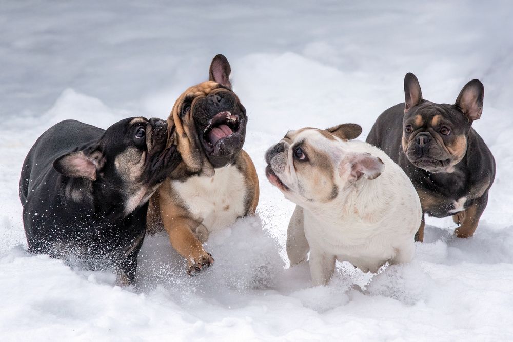 Photograph by Olga Beskrovnykh