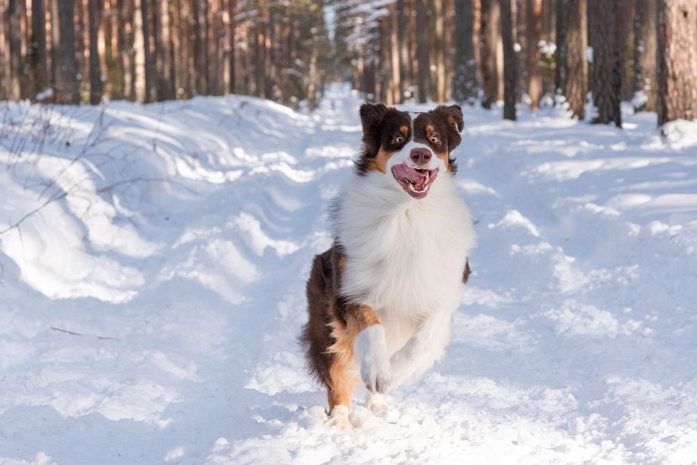 Photograph by Olga Beskrovnykh