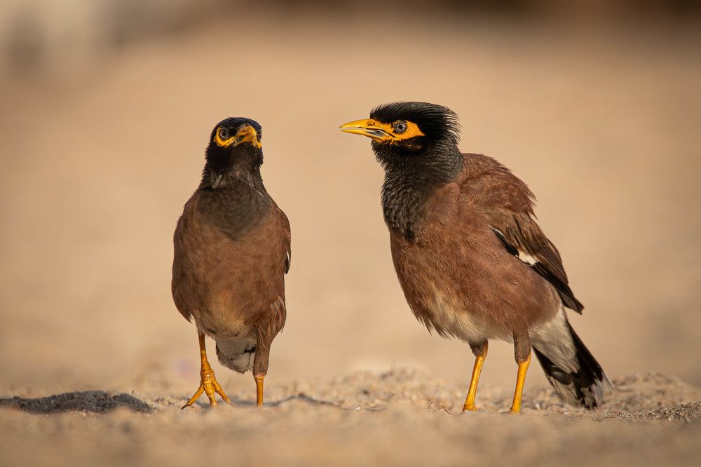 Photograph by Alexei Kriptozoy