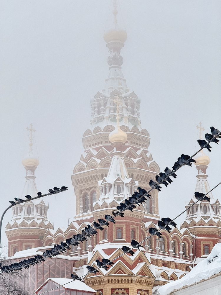 Фотография автора Дарья