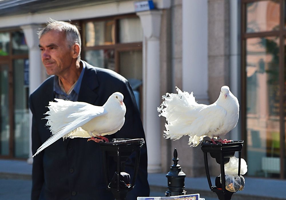 Photograph by Елена Чулюнина