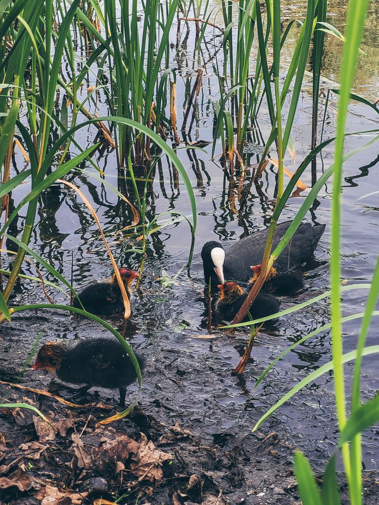 Photograph by Валерия Гуртовая