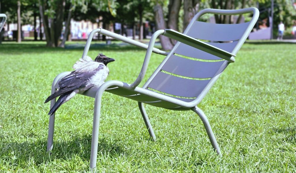 Photograph by Наталья Анисимова