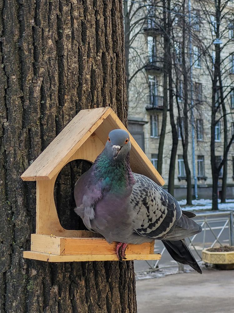 Photograph by Валерия Гуртовая