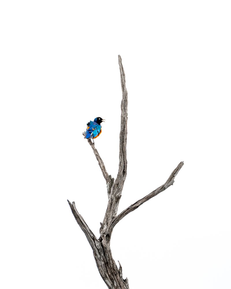 Photograph by Jayakumar MN