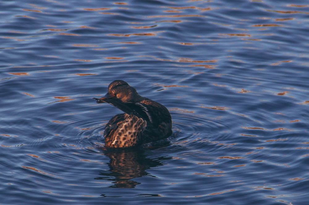 Photograph by Валерия Гуртовая
