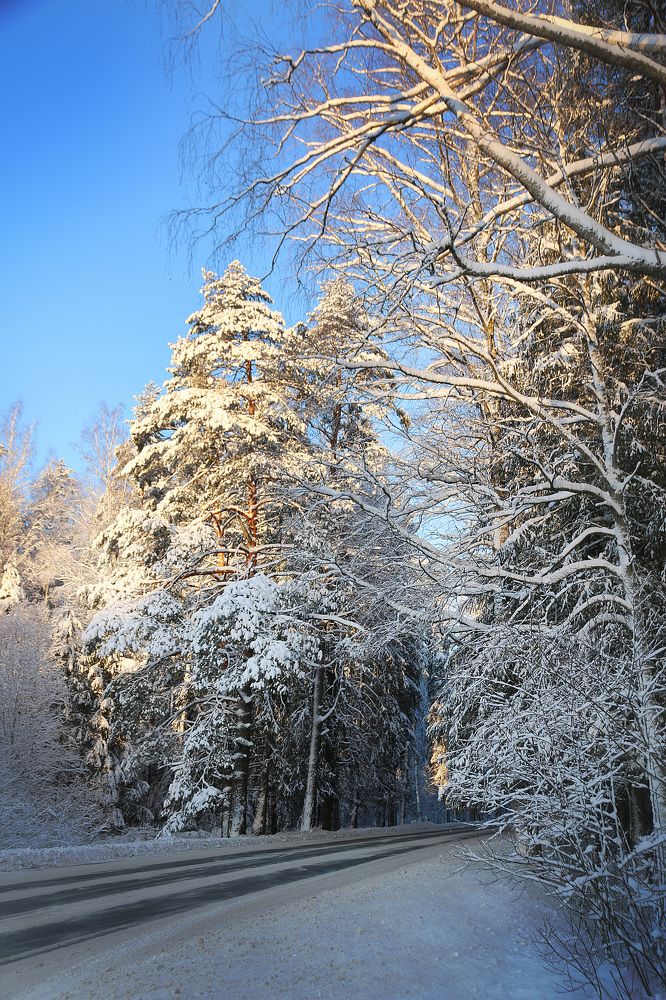 Photograph by Елена Федорова