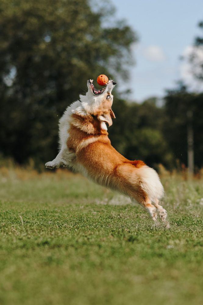 Фотография автора Алена Ковалёва