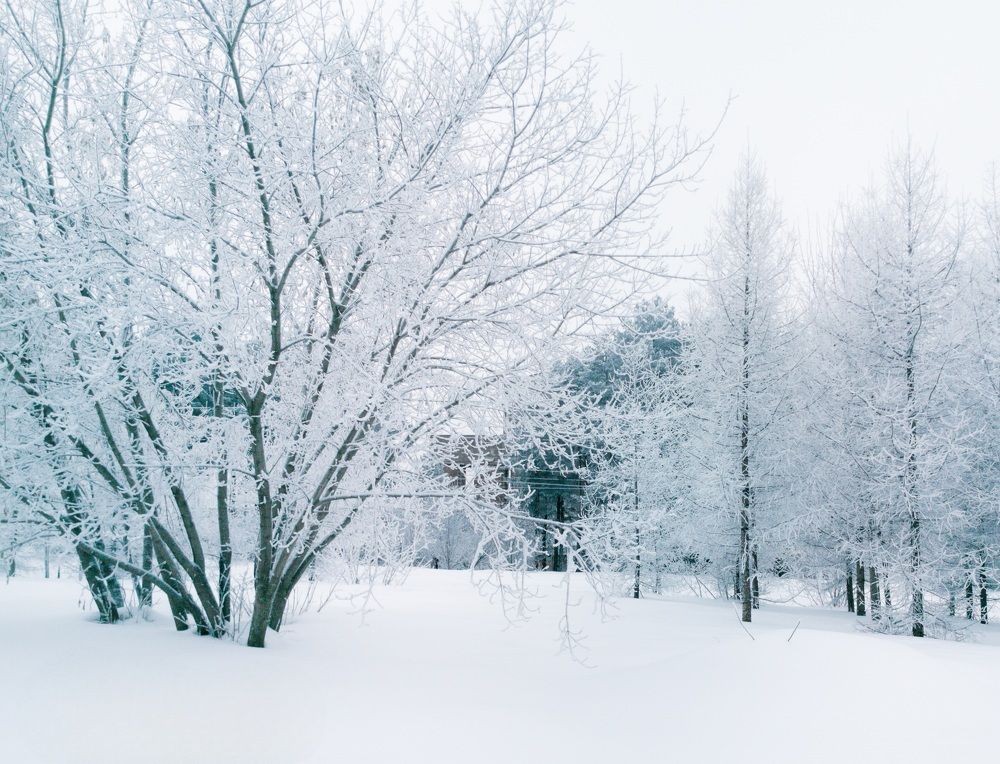 Photograph by Денис Ольгович