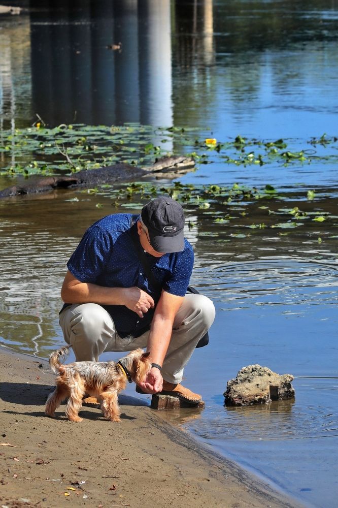 Photograph by Татьяна Бравая