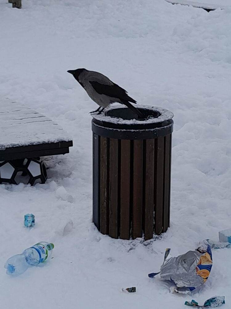 Photograph by Виталий Глазачев