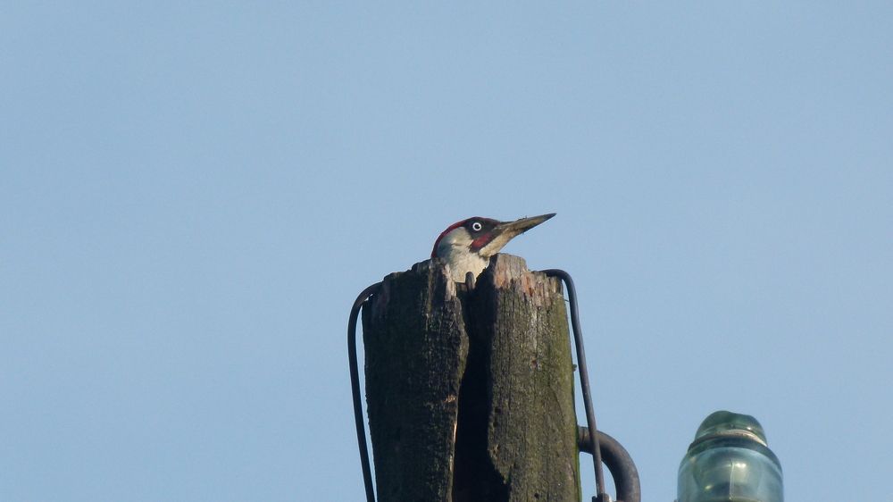 Photograph by Егор Чинарев