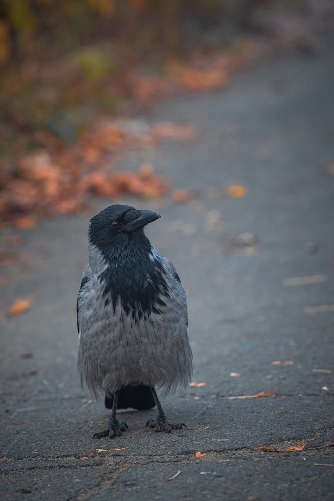 Photograph by Ксения Шилина