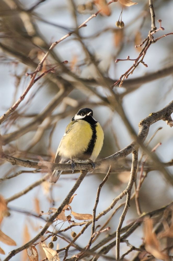 Photograph by Юлия Сидорова