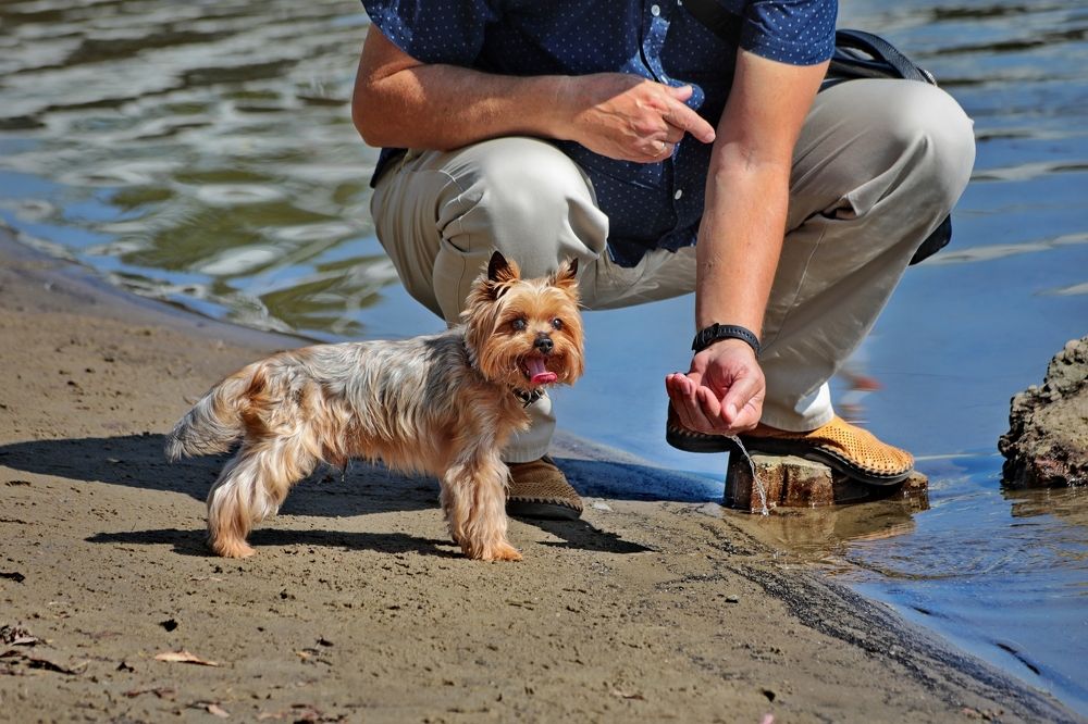 Photograph by Татьяна Бравая