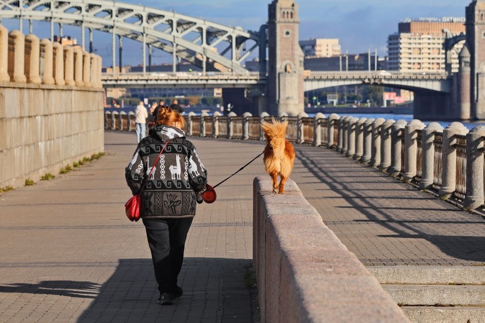 Photograph by Татьяна Бравая