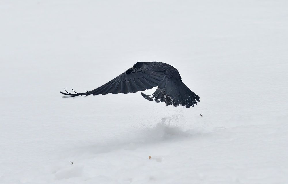 Photograph by Алексей Volg