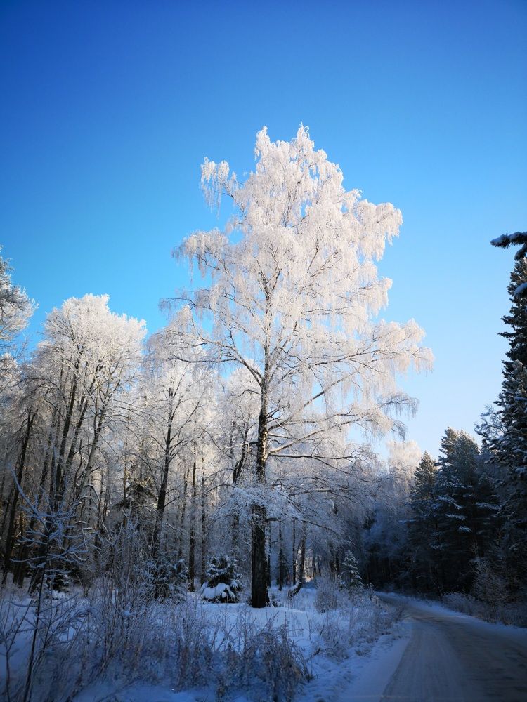 Photograph by Денис Ольгович