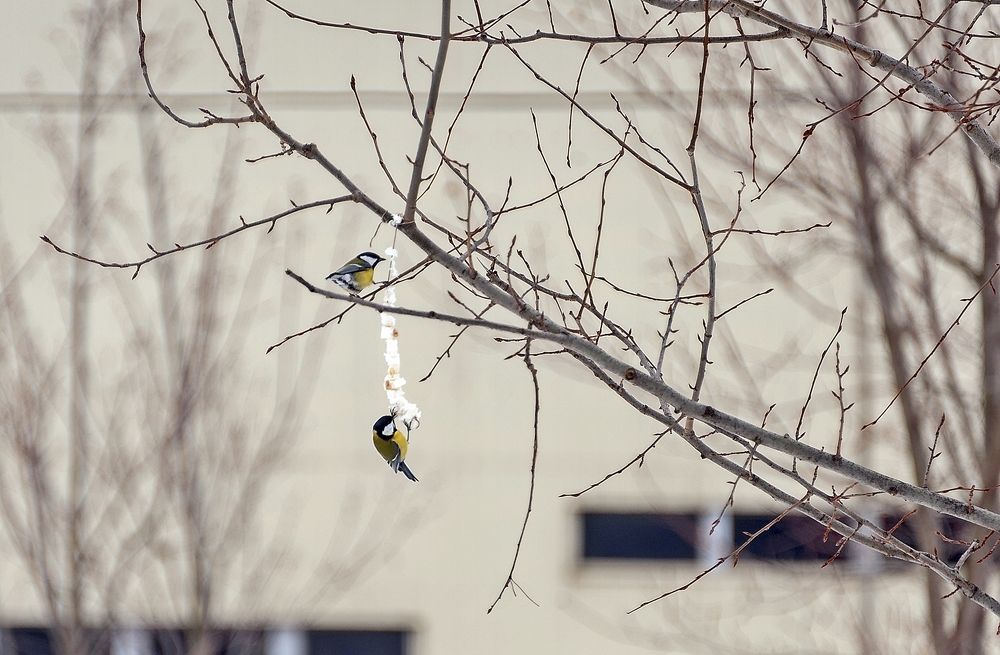 Photograph by Валерий Клейменов