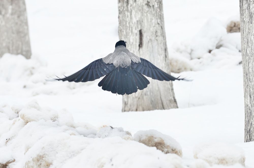 Photograph by Алексей Volg