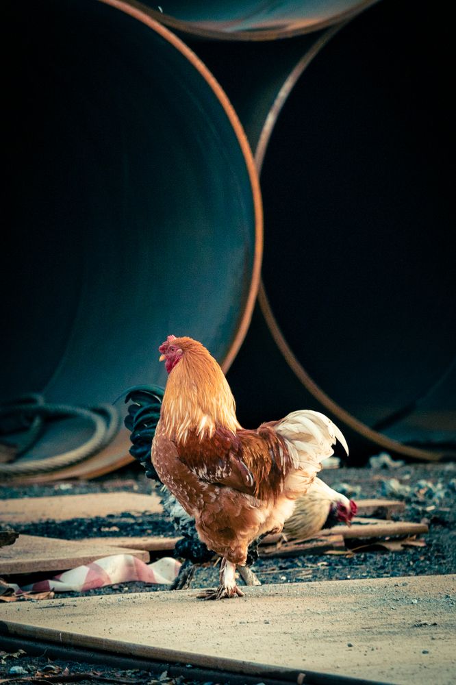 Photograph by Siarhei Saladukhin