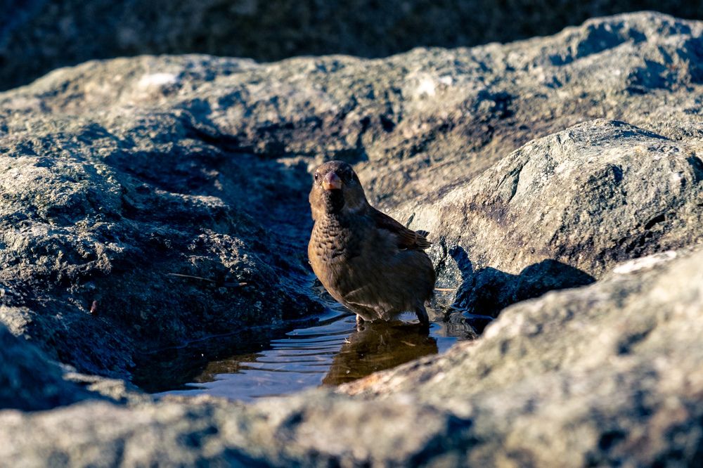 Photograph by Siarhei Saladukhin