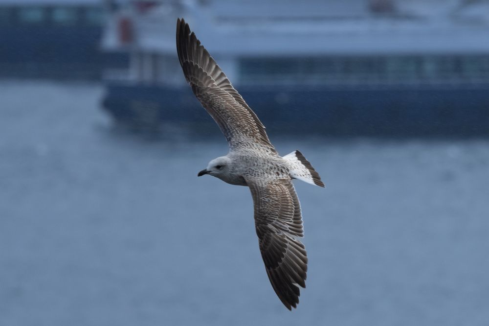 Photograph by Siarhei Saladukhin