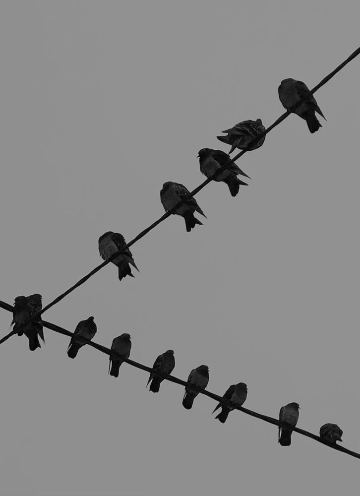 Photograph by Ксения Гулькова