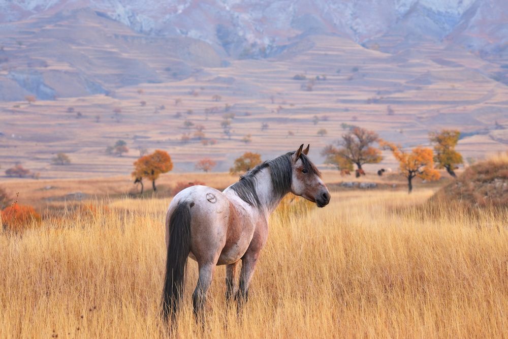 Photograph by Максимова Ольга