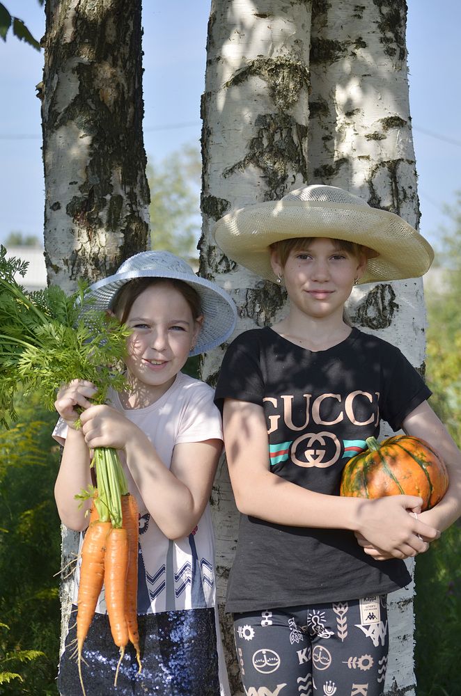 Photograph by Соколова Елена