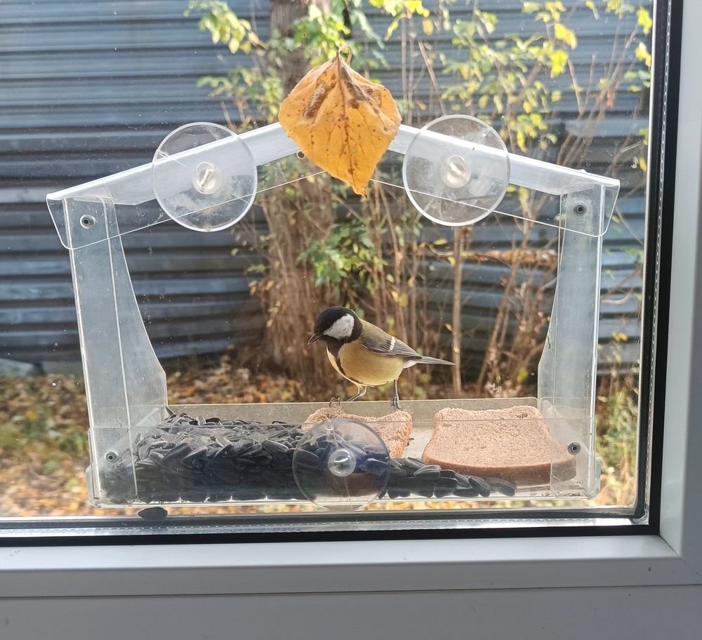 Photograph by Nikita Zorin