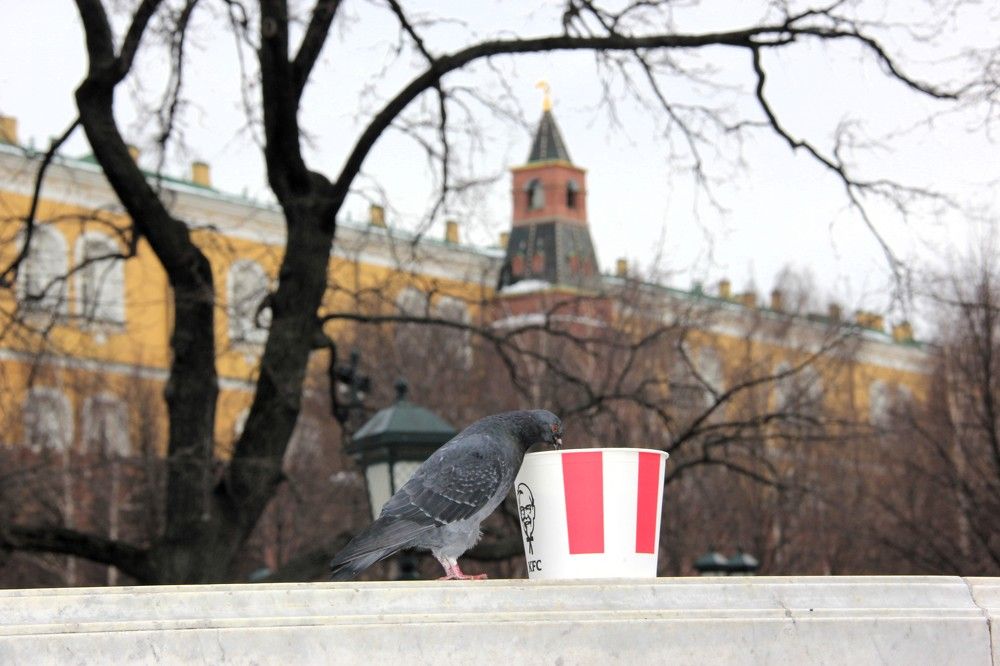 Photograph by Nikita Zorin