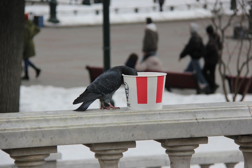 Photograph by Nikita Zorin