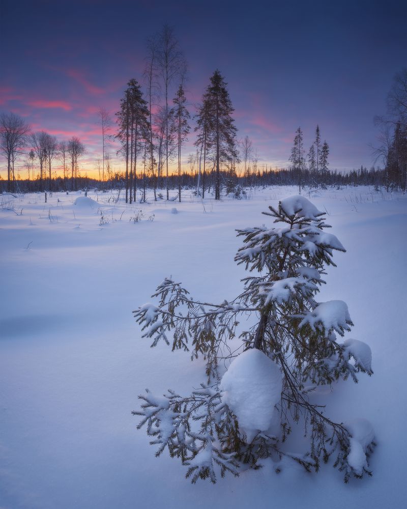 Photograph by Иван Чаланов