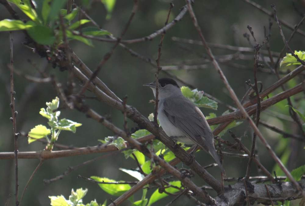 Photograph by Титова Наталья