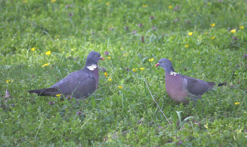 Photograph by Титова Наталья