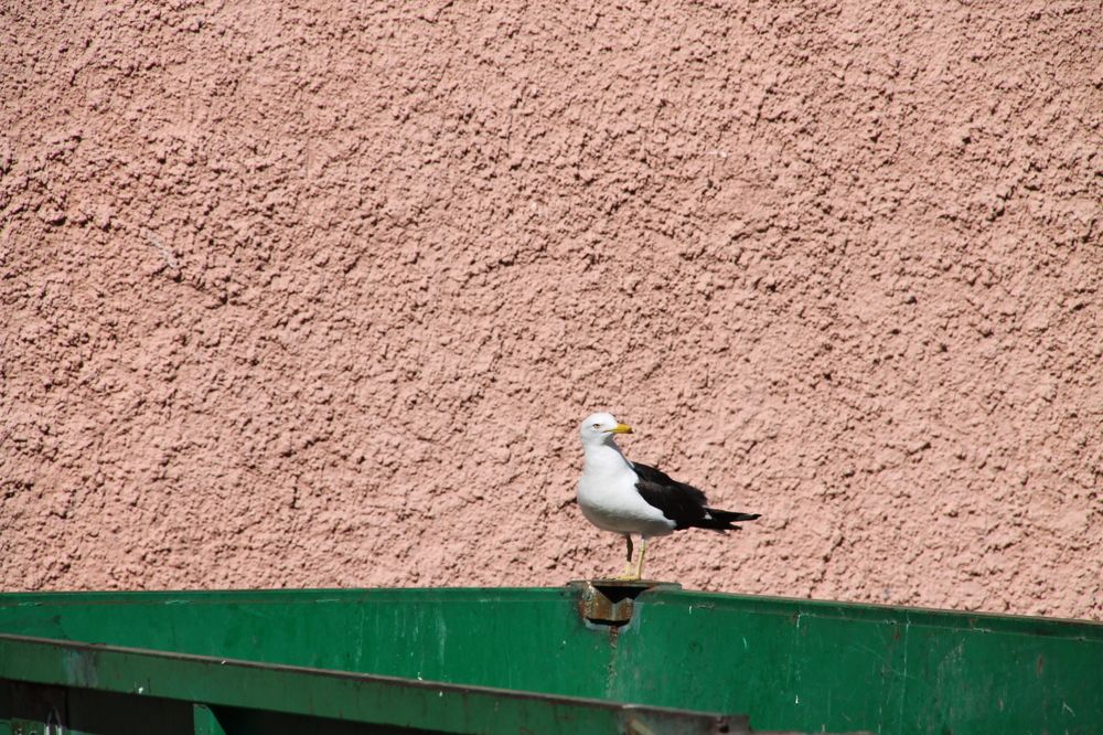 Photograph by Nikita Zorin