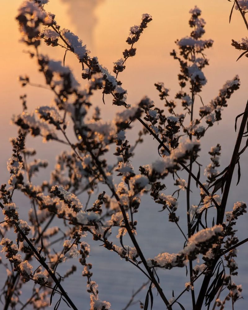 Photograph by Александр Васильев