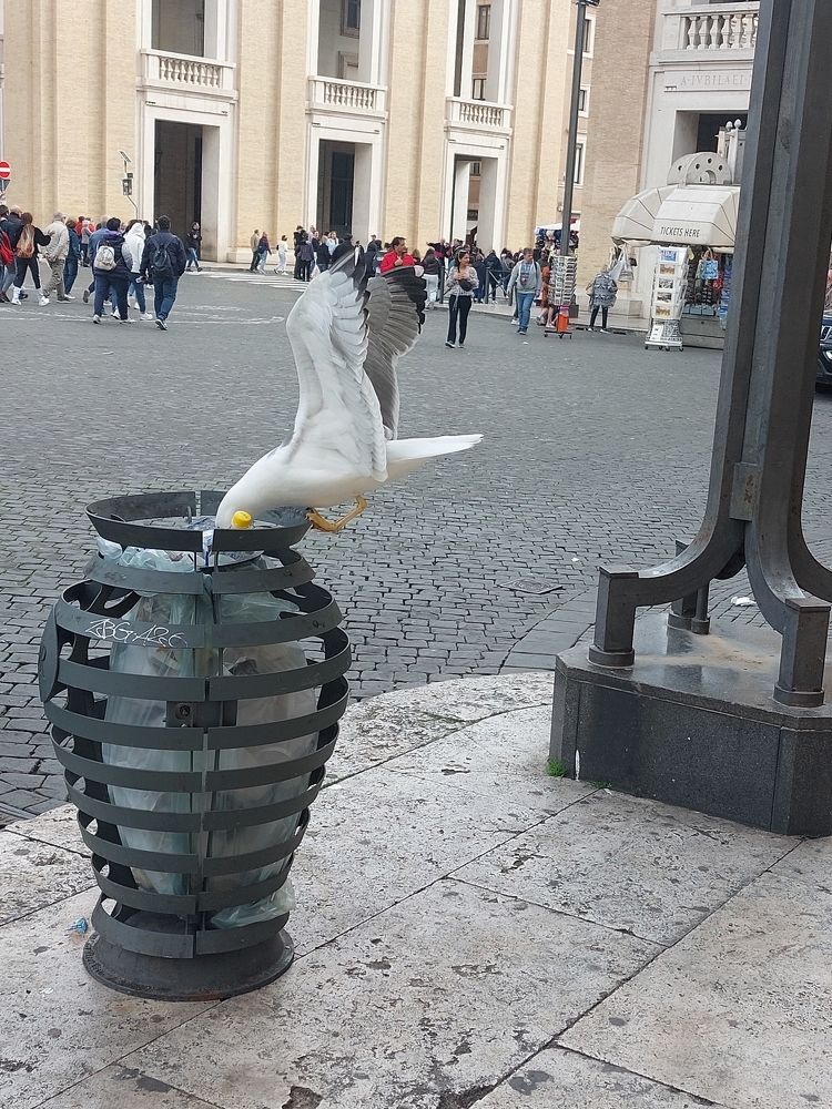Vandalismo en El Vaticano
