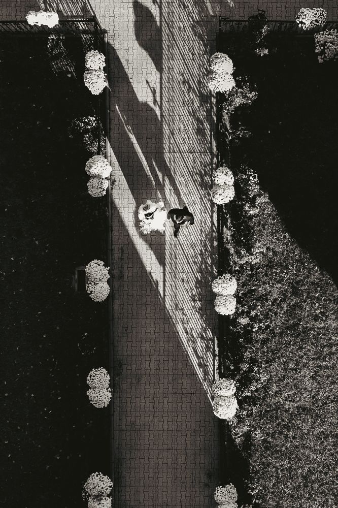 Photograph by Marian Lepădatu