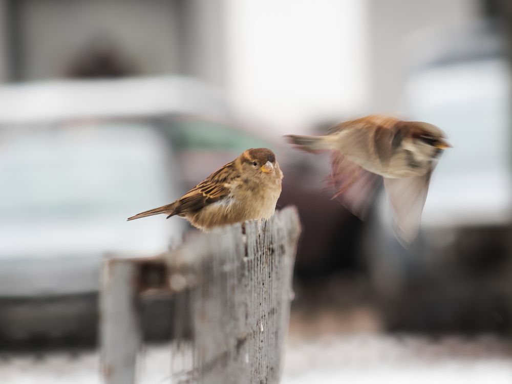 Photograph by Юркин Егор