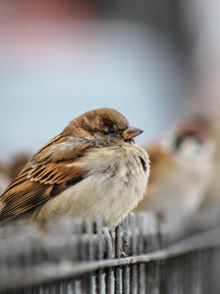 Photograph by Юркин Егор