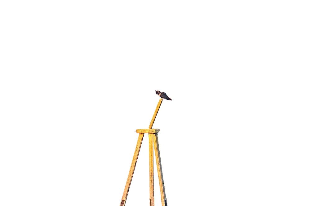 Photograph by Przemysław Pisarek