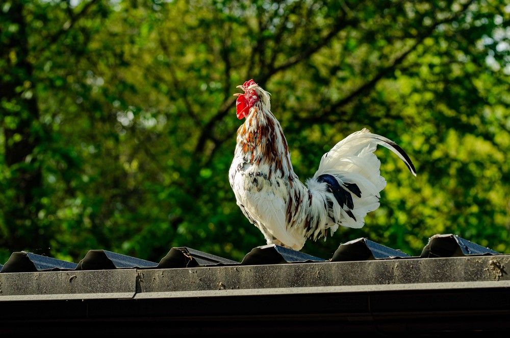 Фотография автора Владимир Брызгунов