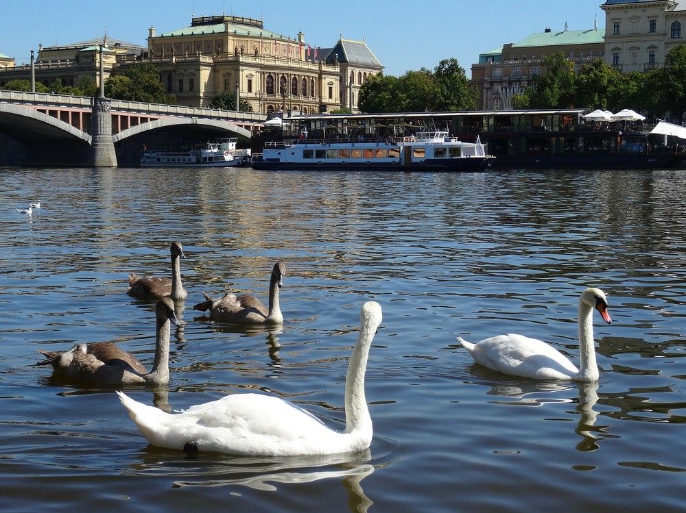 Photograph by Марина Раткун