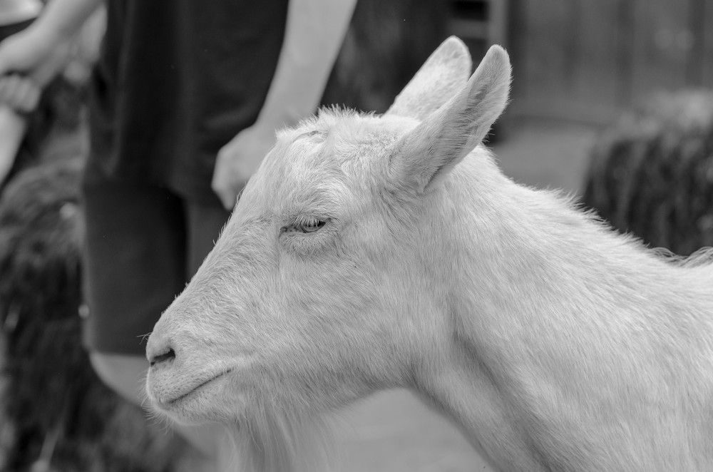 Фотография автора Владимир Брызгунов