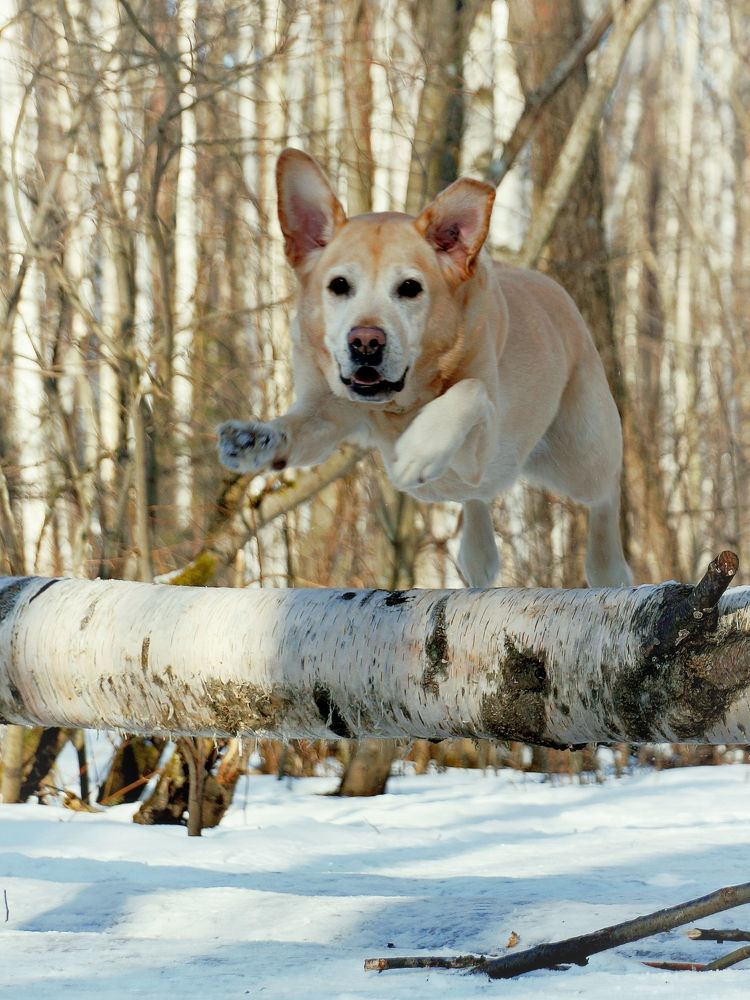 Фотография автора Валерий Жданов