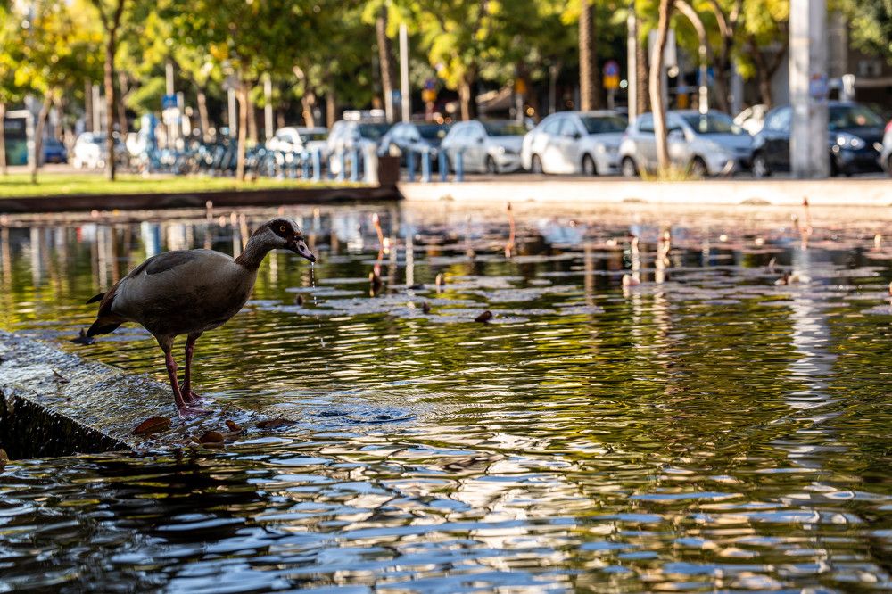 Photograph by Igor Shulkin